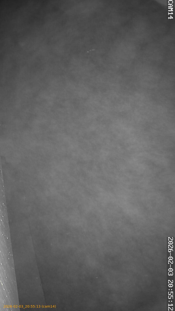 thumbnail_20260203205513