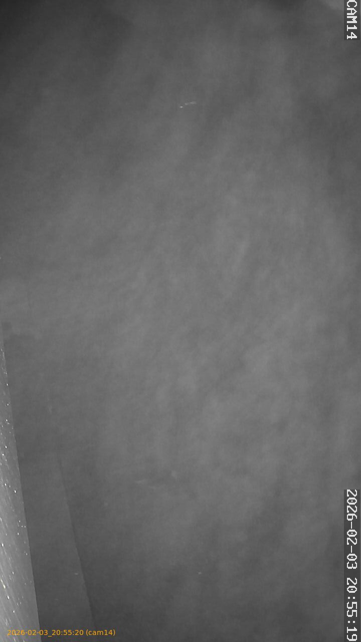 thumbnail_20260203205520