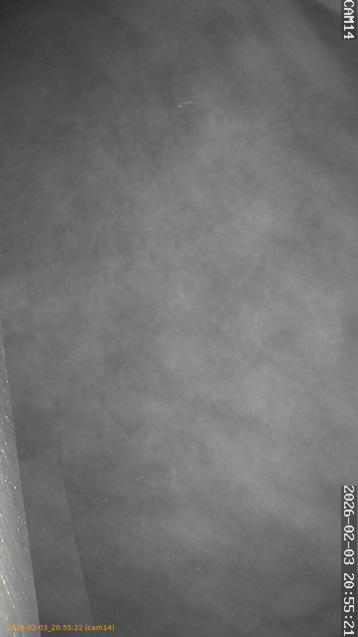 thumbnail_20260203205522