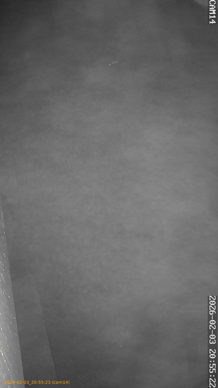 thumbnail_20260203205523