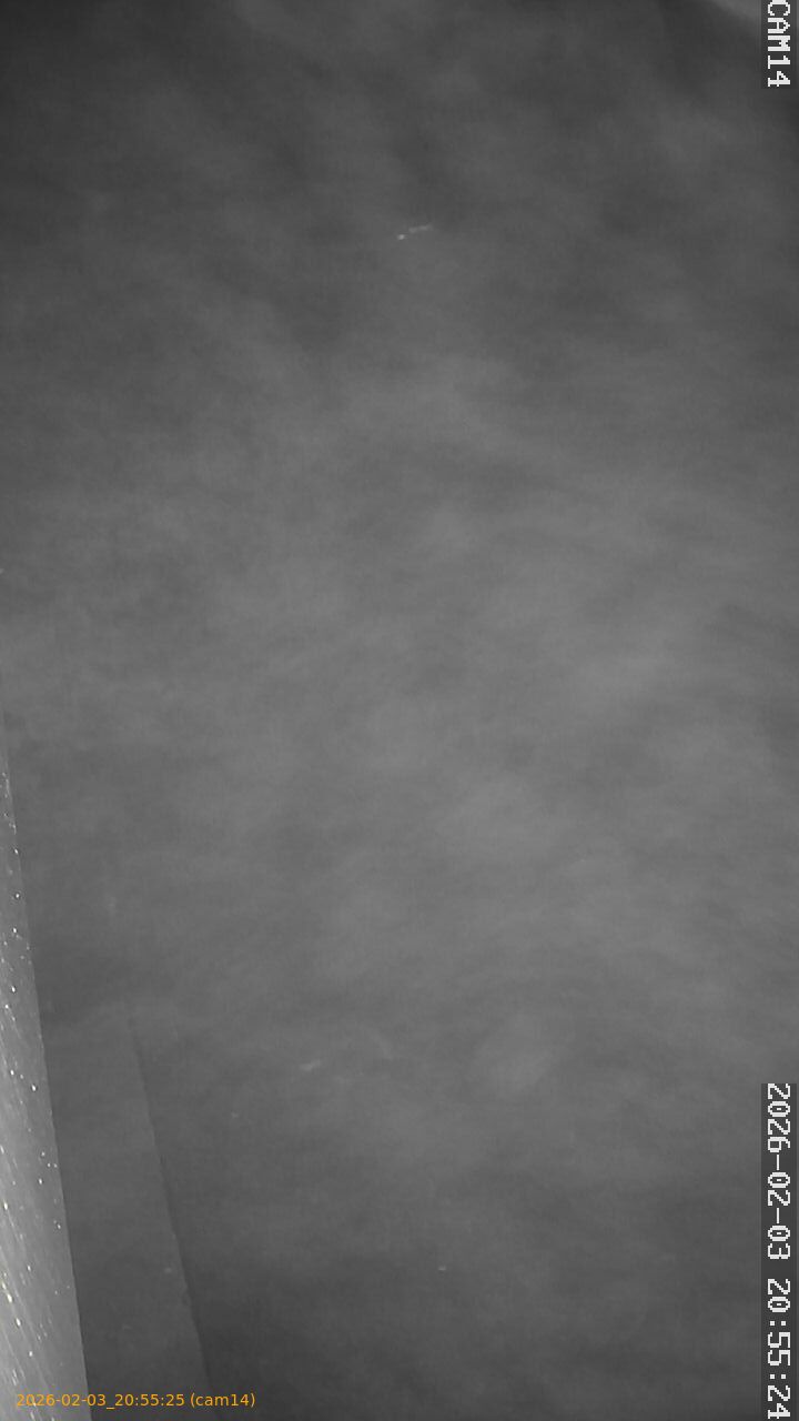 thumbnail_20260203205525