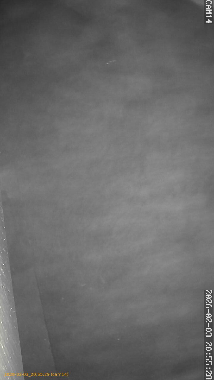 thumbnail_20260203205529