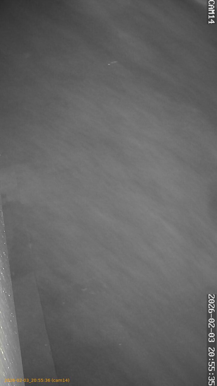 thumbnail_20260203205536