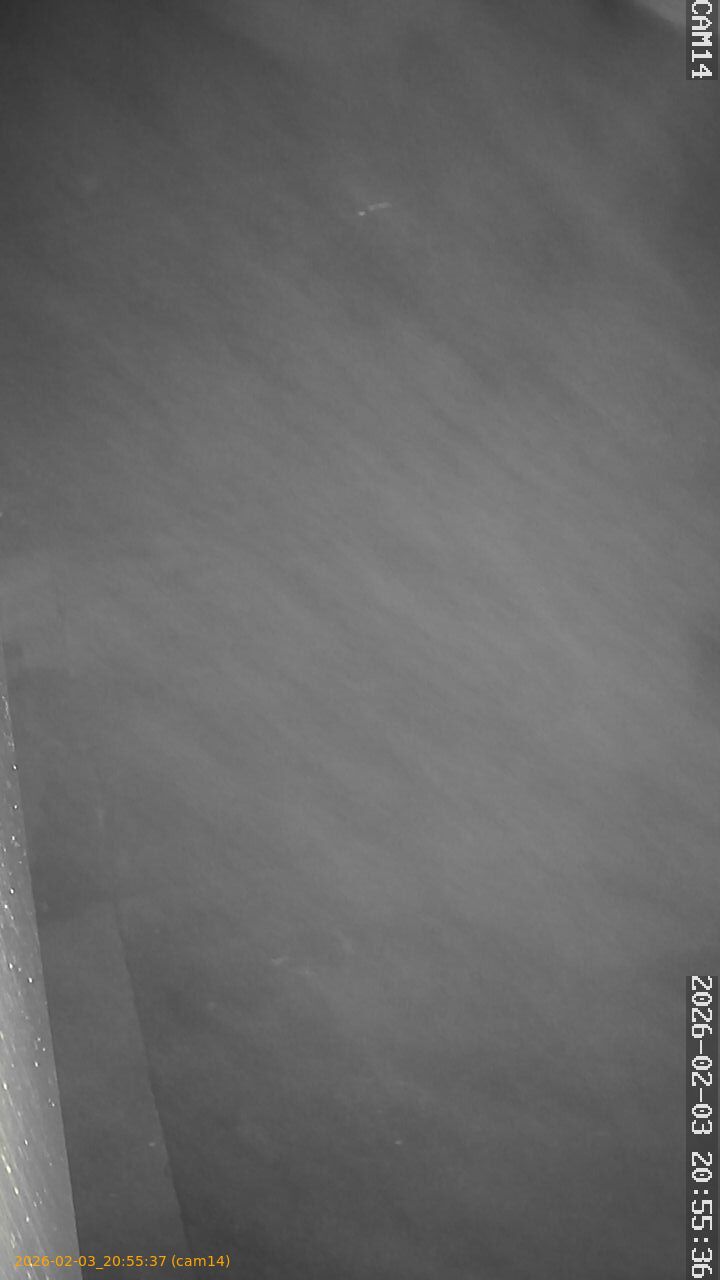 thumbnail_20260203205537