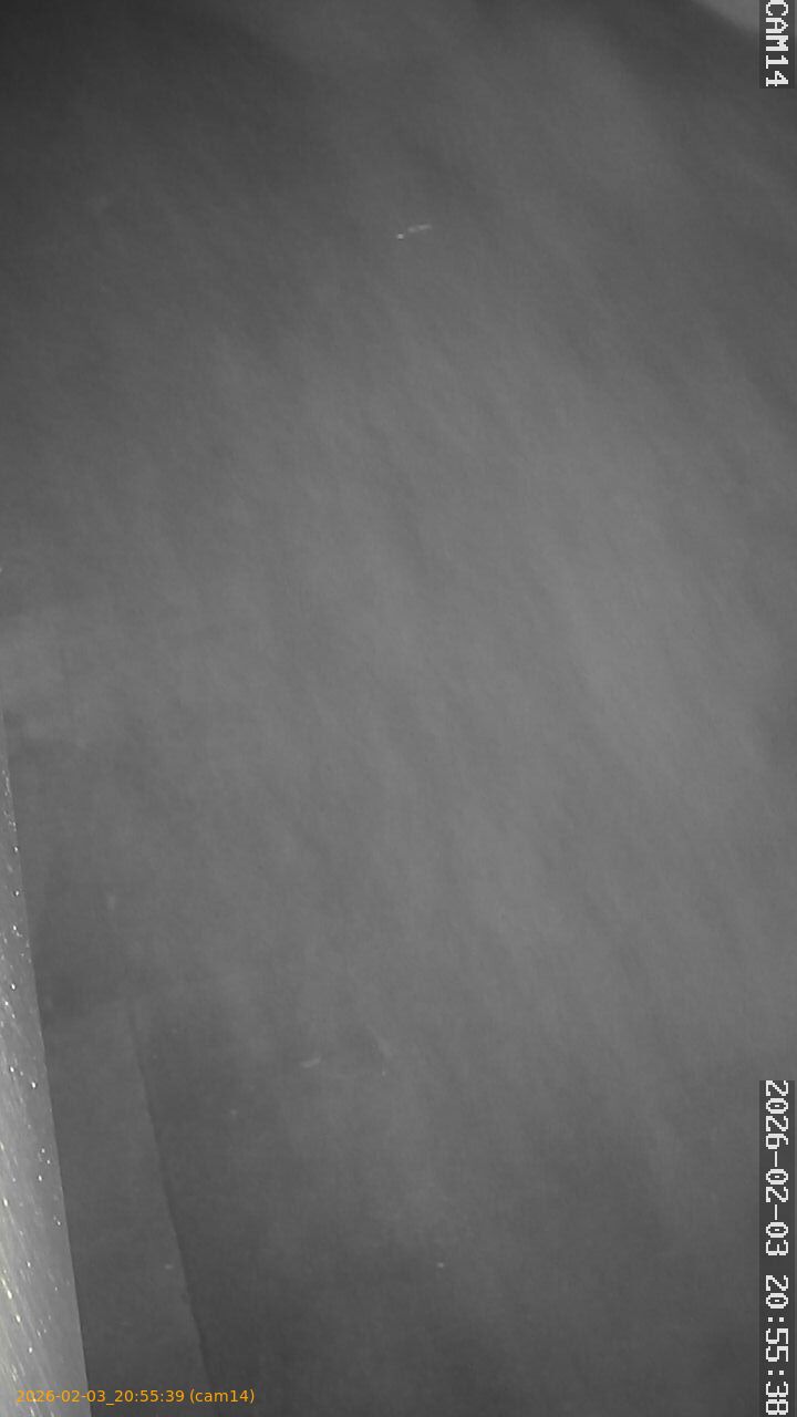 thumbnail_20260203205539