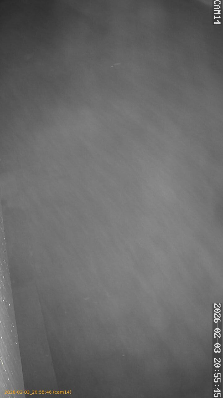 thumbnail_20260203205546