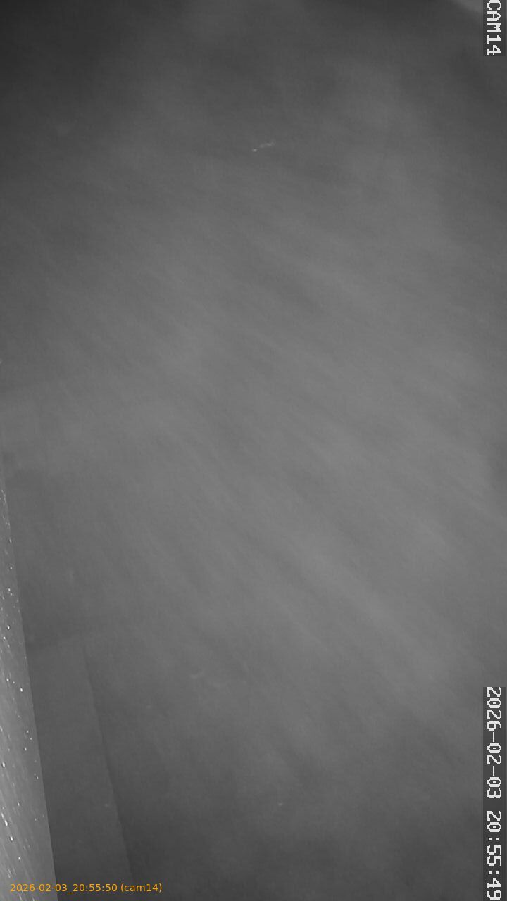 thumbnail_20260203205550