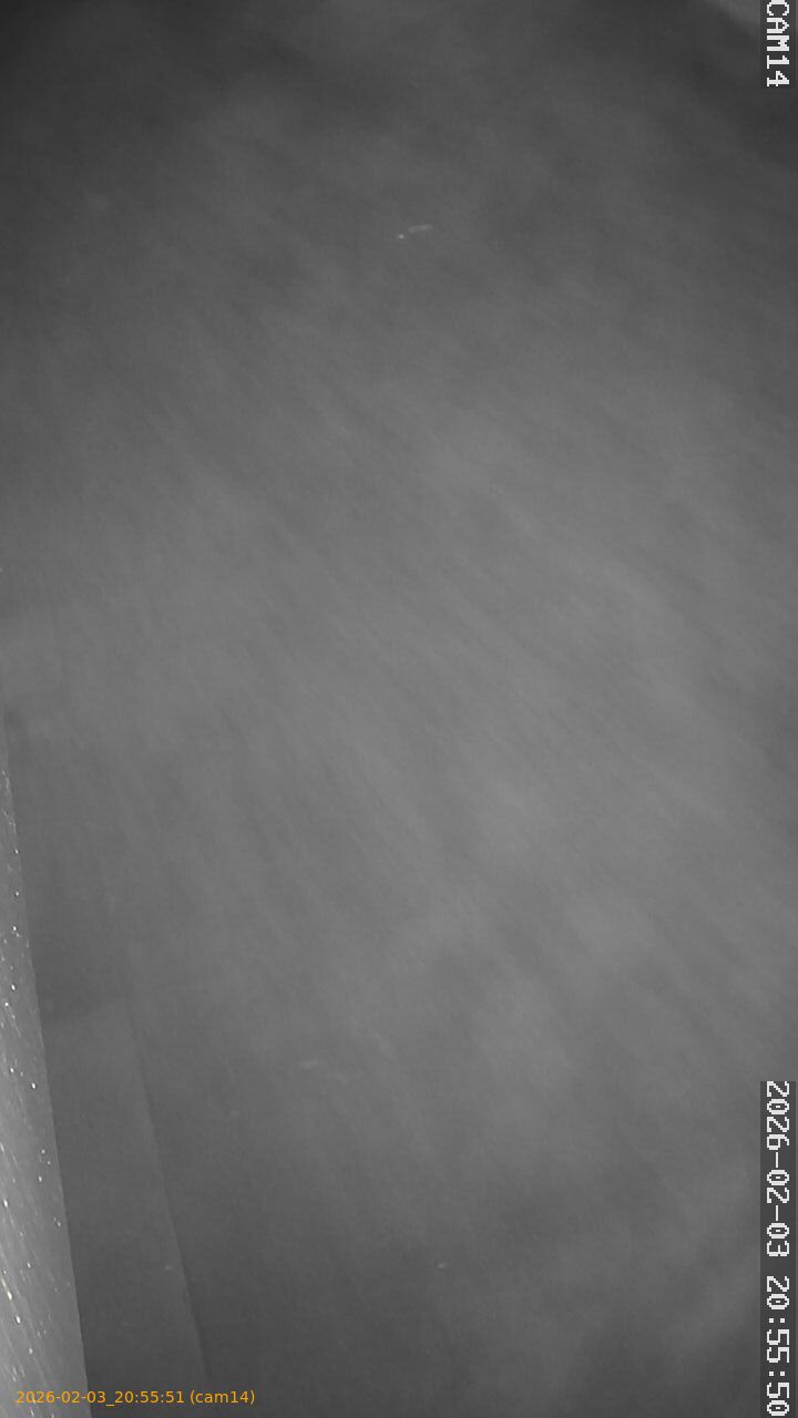 thumbnail_20260203205551