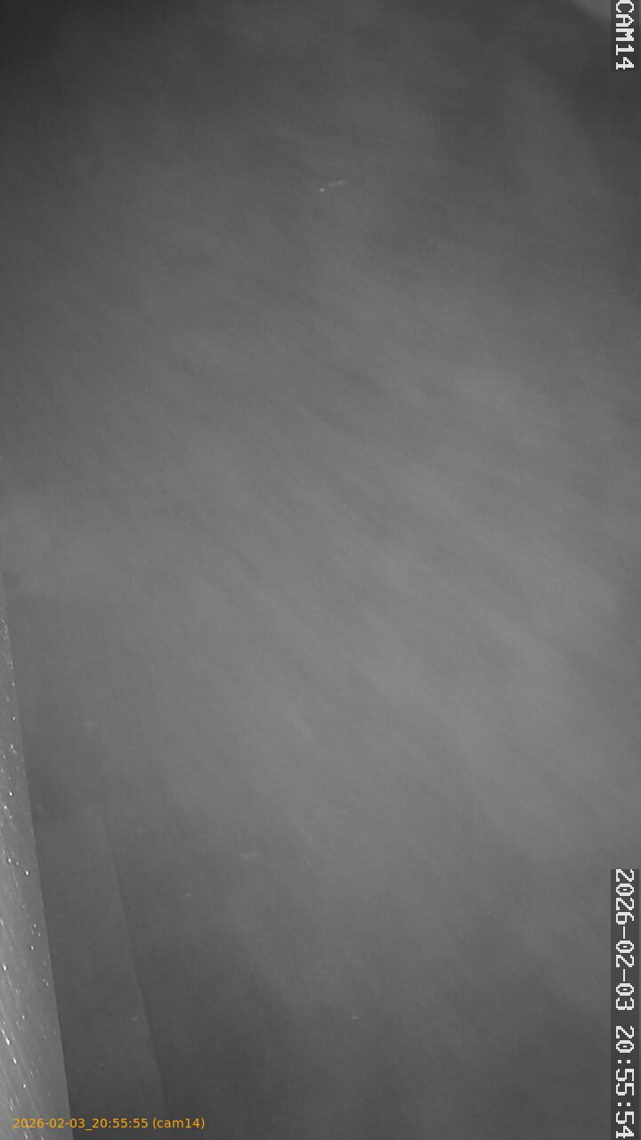 thumbnail_20260203205555