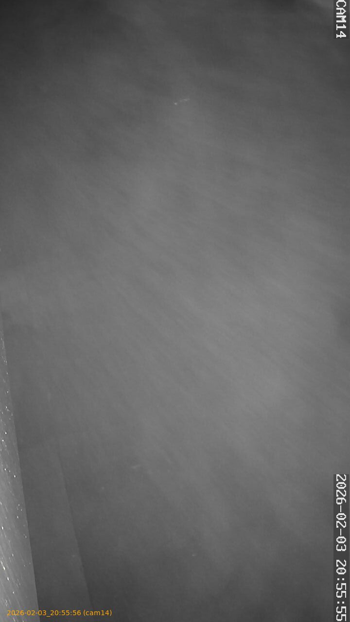 thumbnail_20260203205556