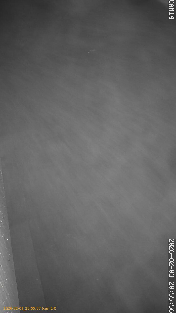 thumbnail_20260203205557