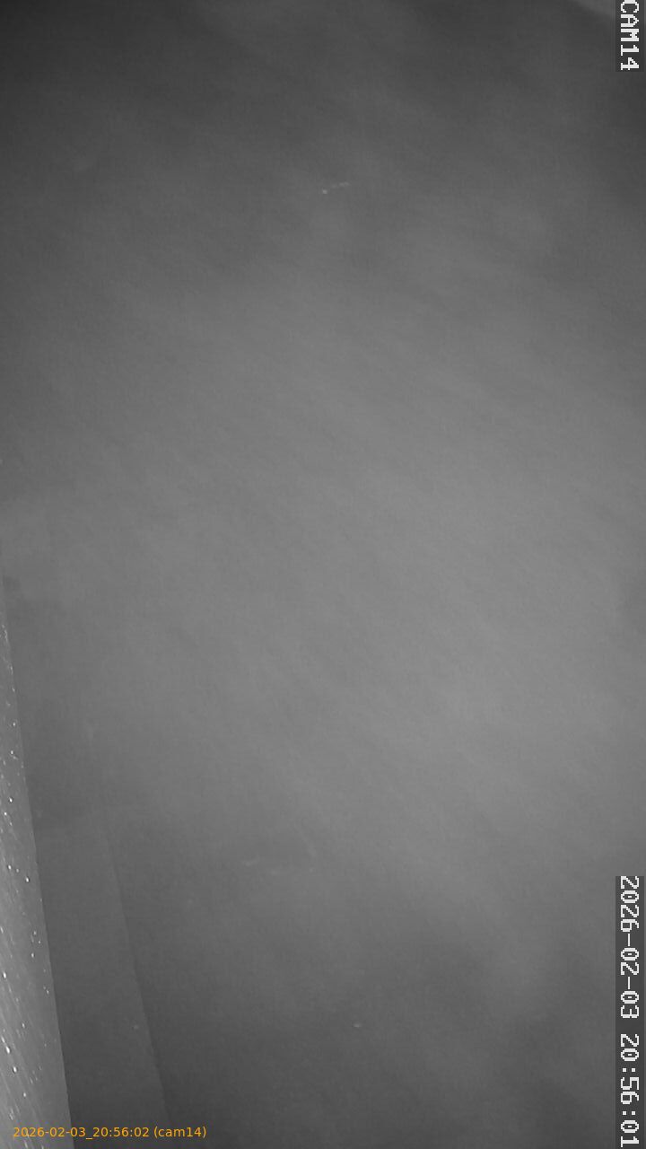 thumbnail_20260203205602