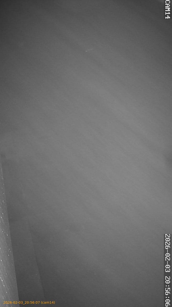 thumbnail_20260203205607