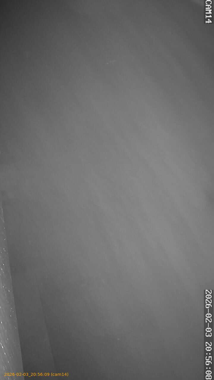 thumbnail_20260203205609