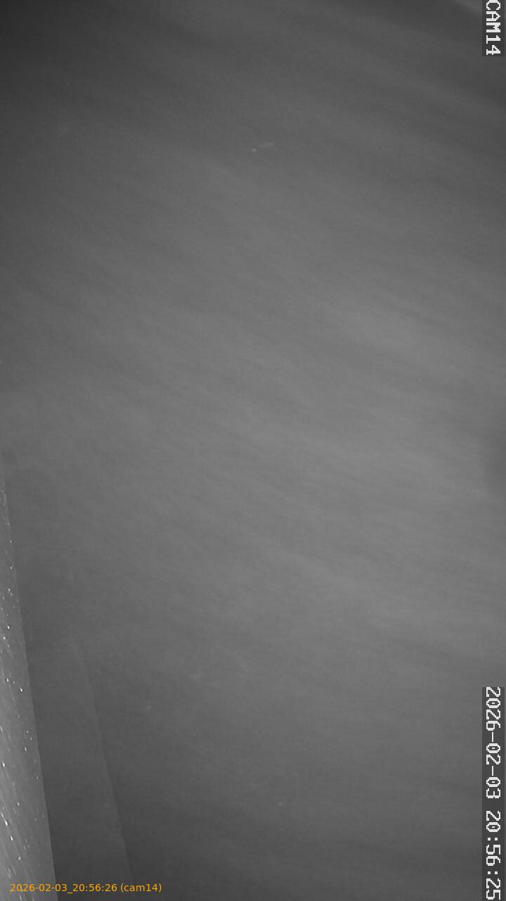 thumbnail_20260203205626