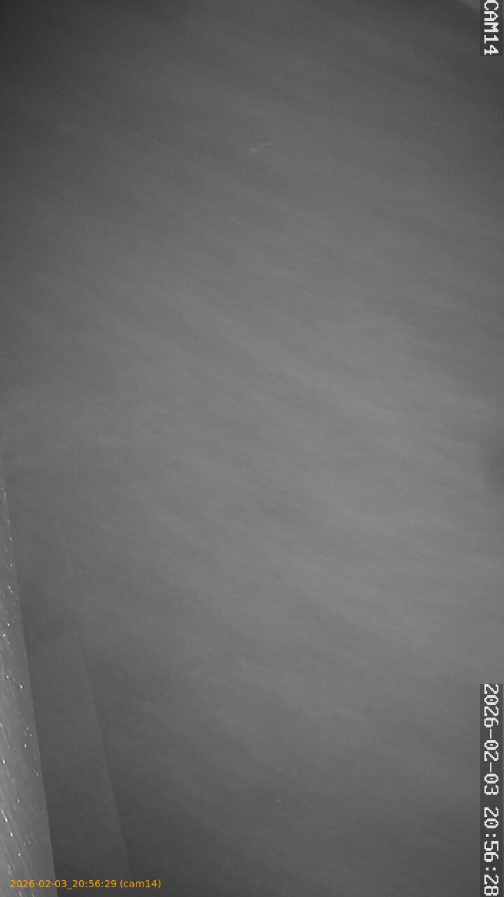 thumbnail_20260203205629