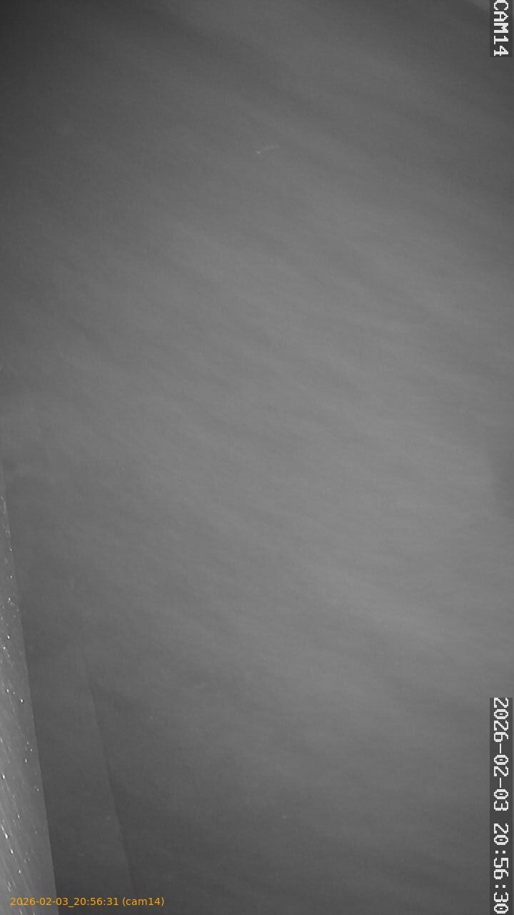 thumbnail_20260203205631