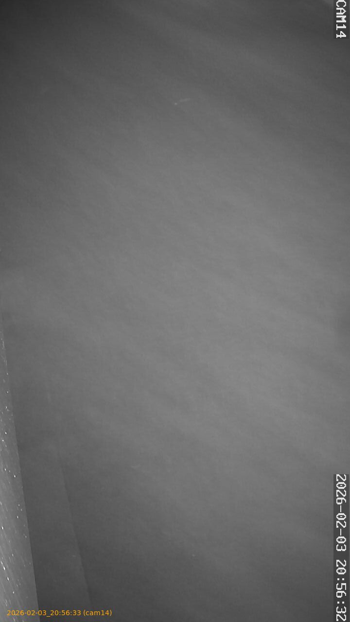 thumbnail_20260203205633