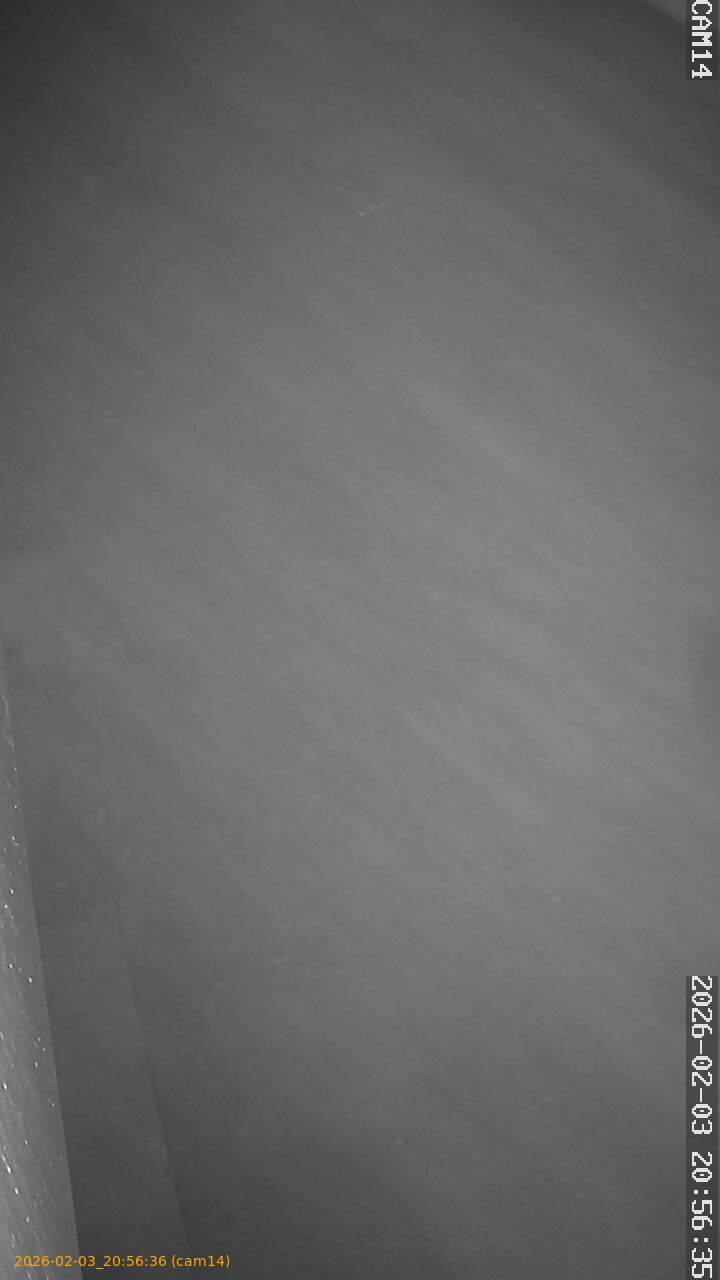 thumbnail_20260203205636