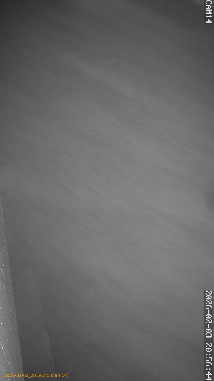 thumbnail_20260203205645