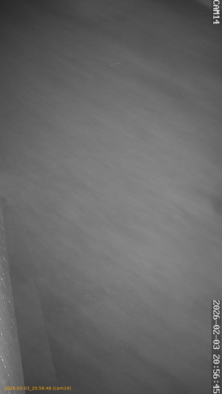 thumbnail_20260203205646