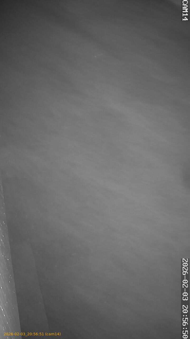 thumbnail_20260203205651