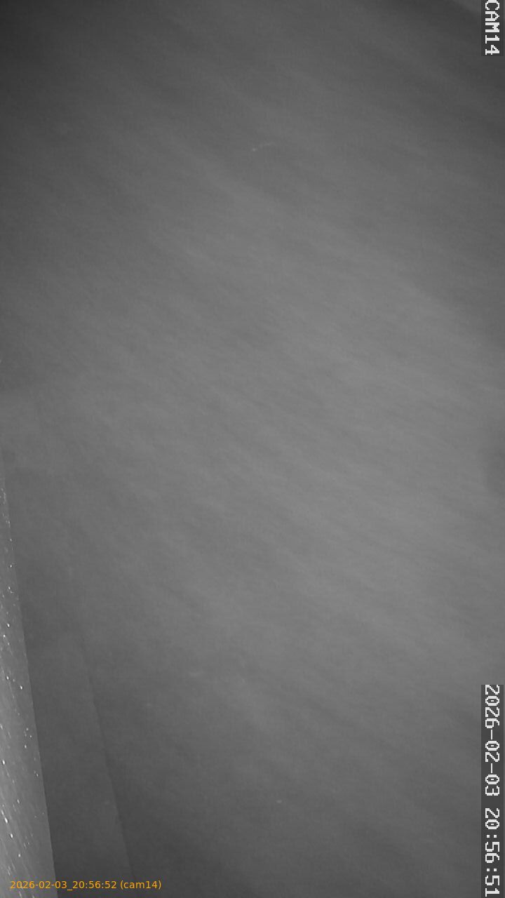 thumbnail_20260203205652