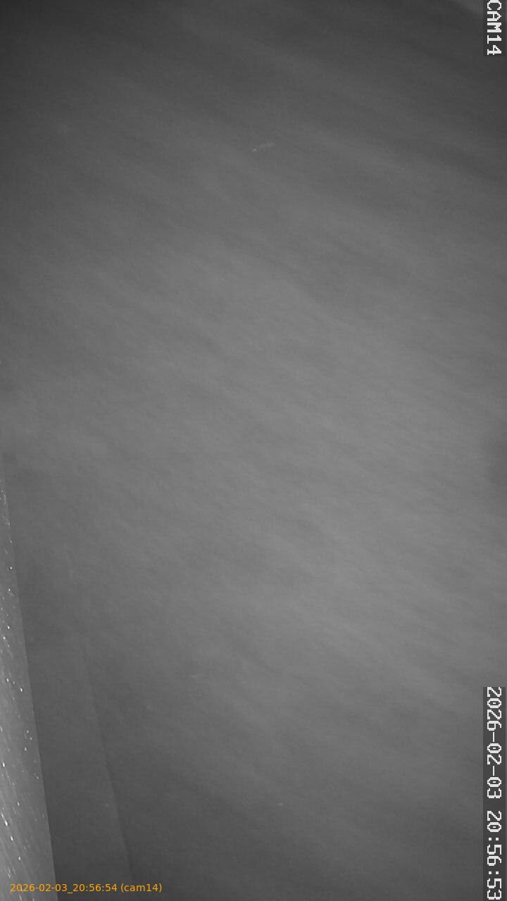 thumbnail_20260203205654