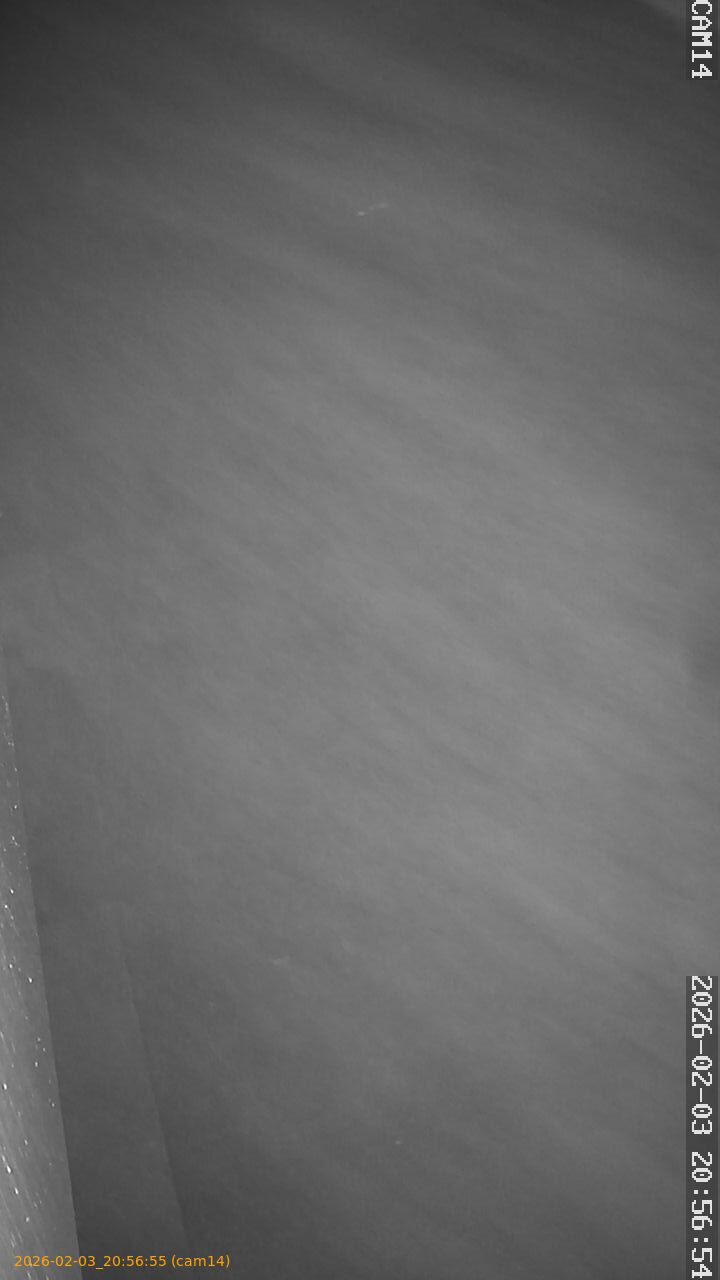 thumbnail_20260203205655