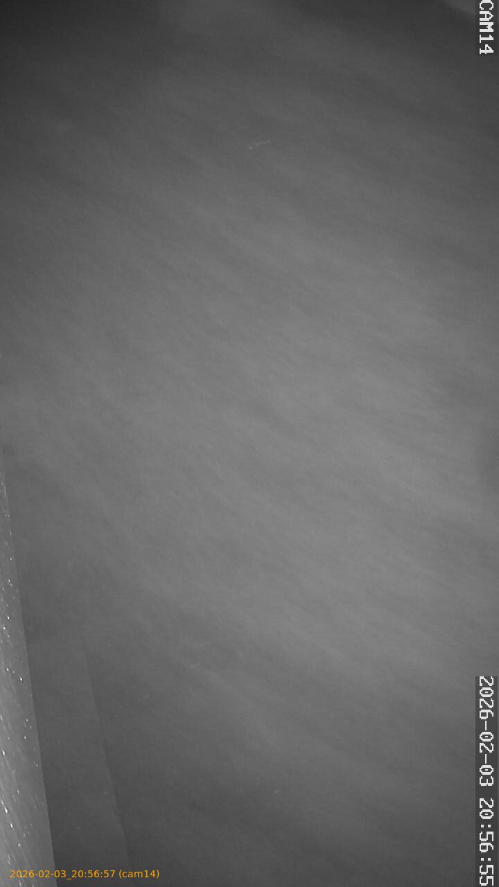 thumbnail_20260203205656