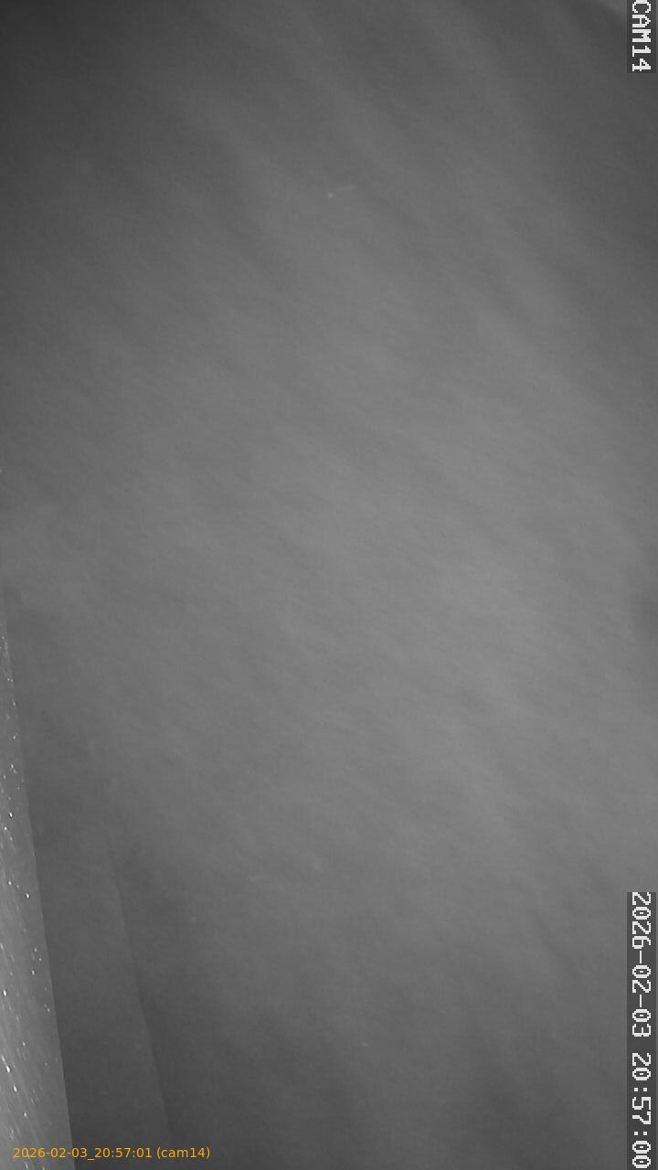 thumbnail_20260203205701