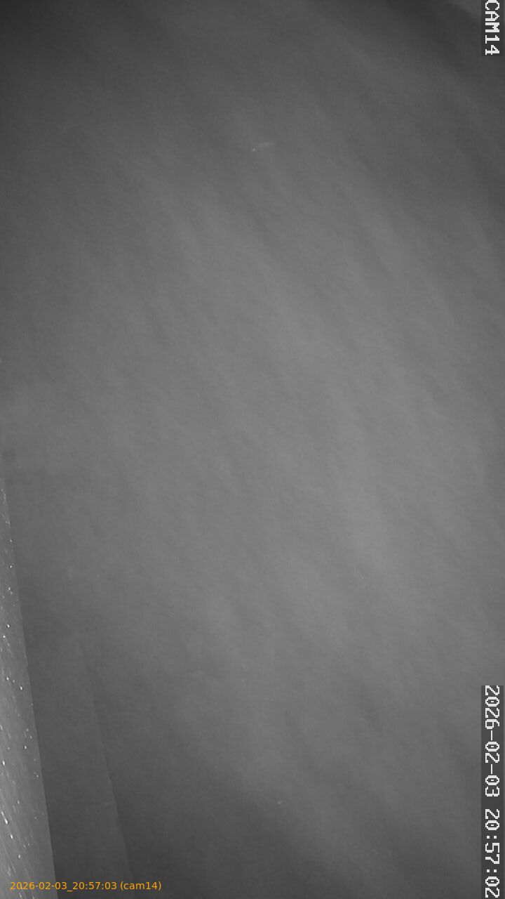 thumbnail_20260203205703