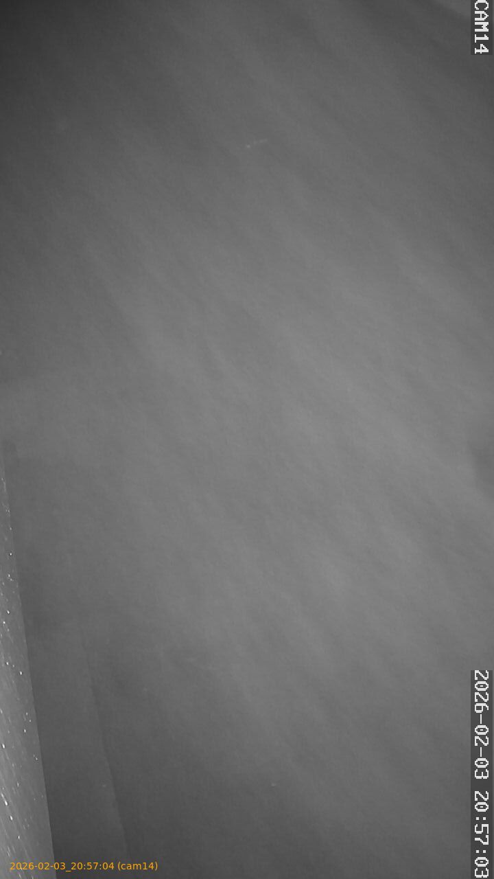 thumbnail_20260203205704