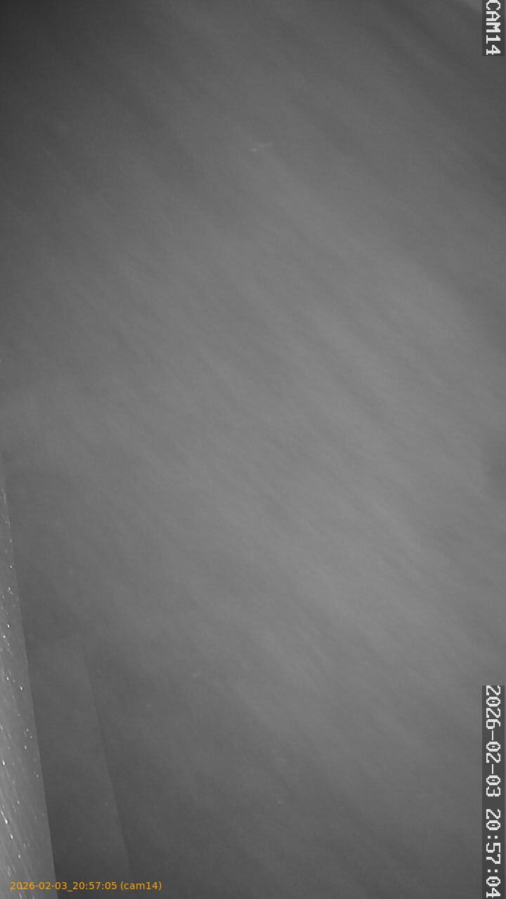 thumbnail_20260203205705