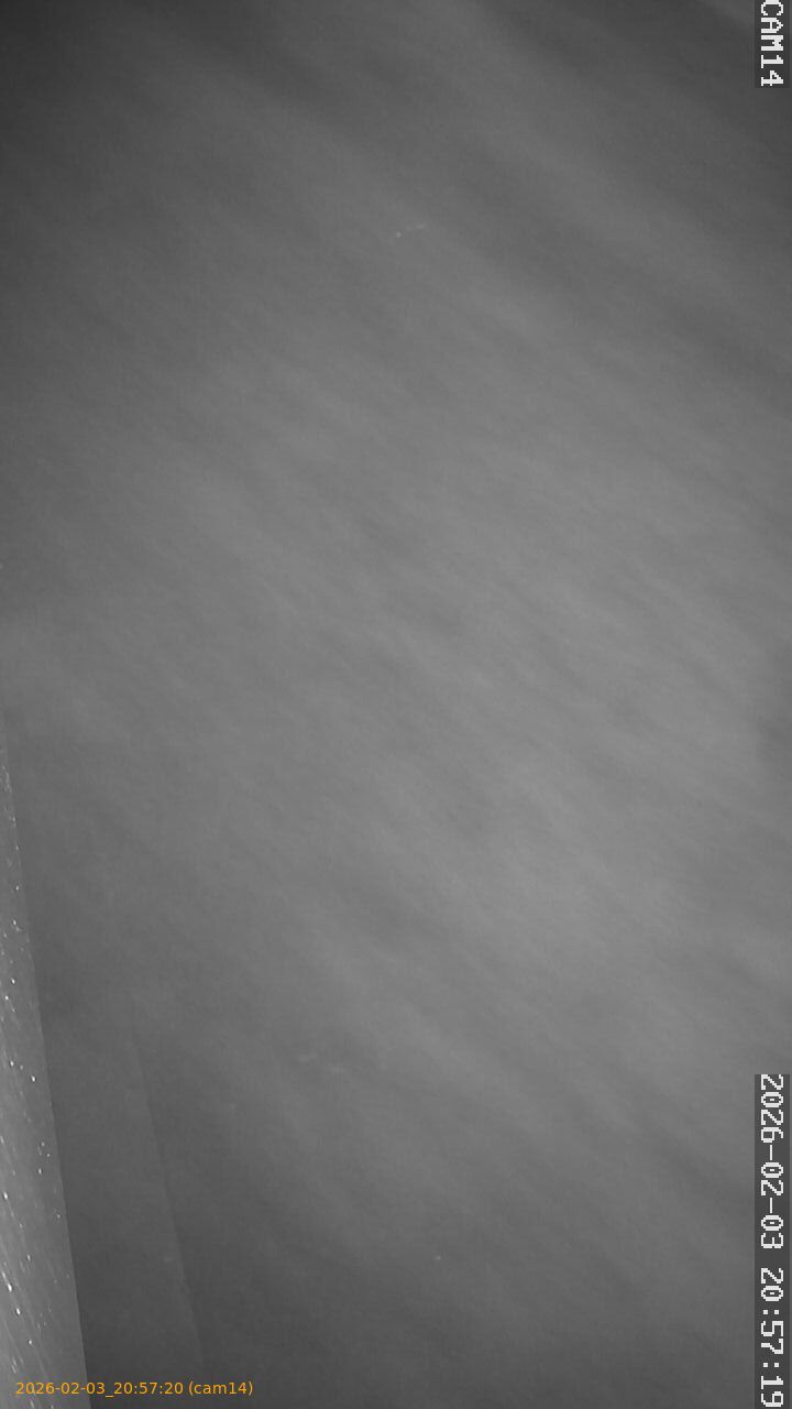 thumbnail_20260203205720