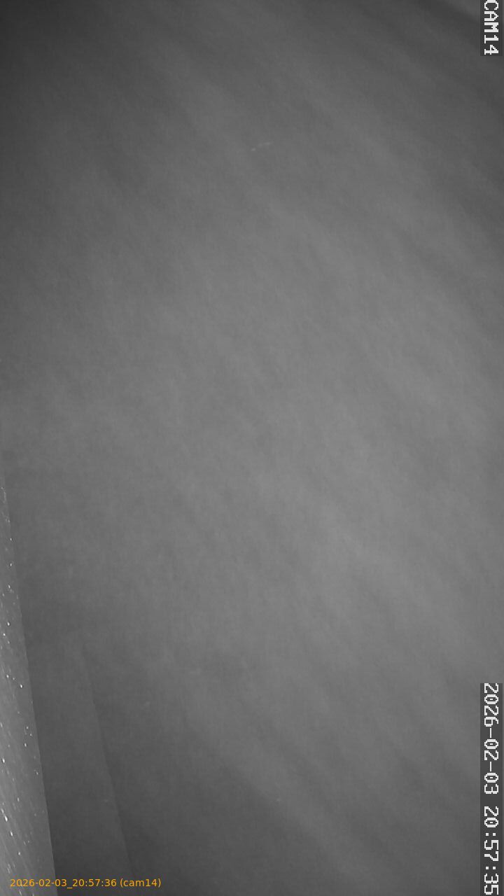 thumbnail_20260203205736