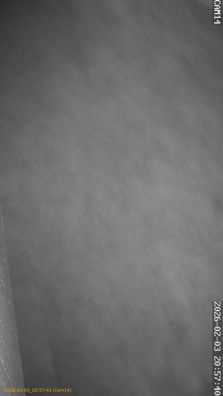 thumbnail_20260203205741