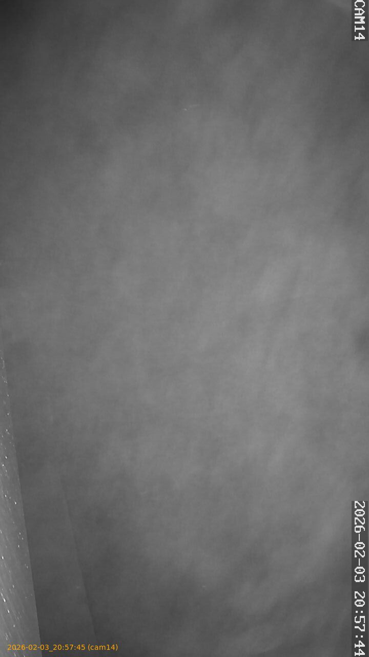 thumbnail_20260203205745