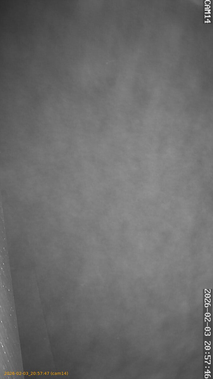 thumbnail_20260203205747