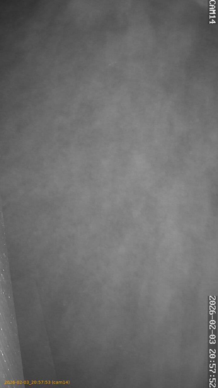 thumbnail_20260203205753