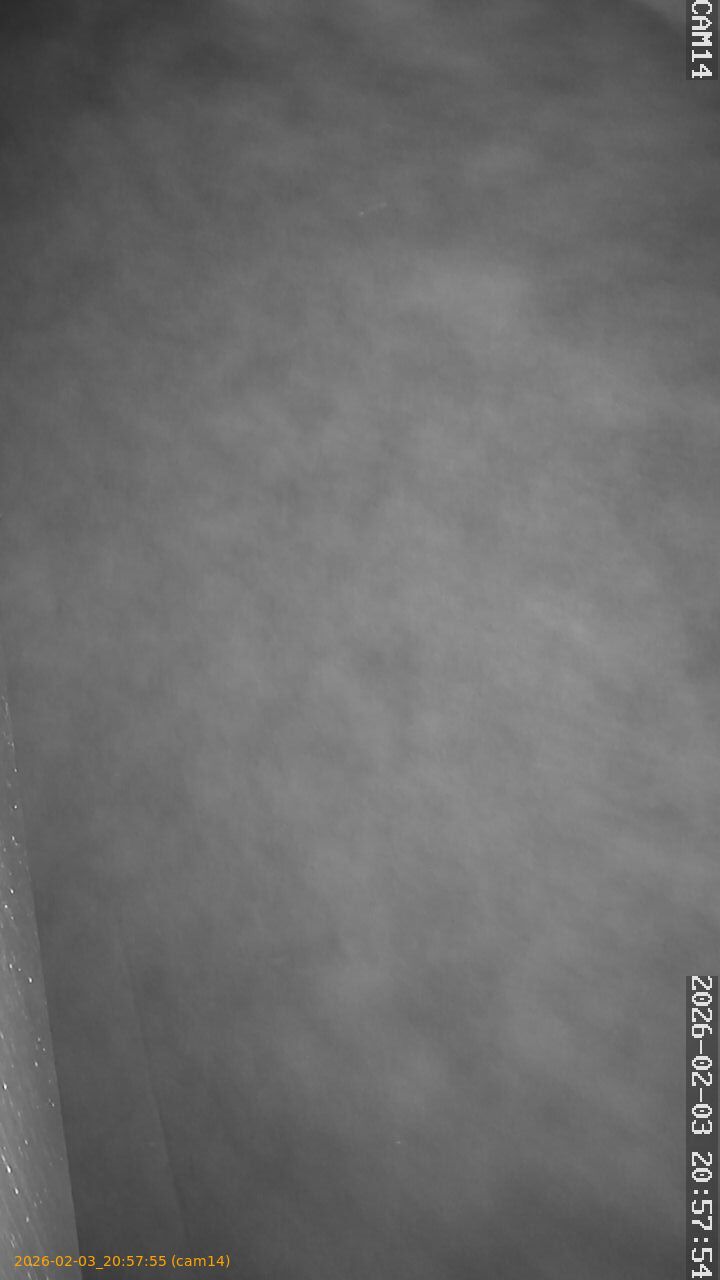 thumbnail_20260203205755