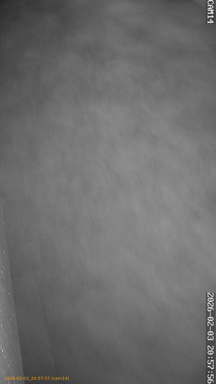 thumbnail_20260203205757