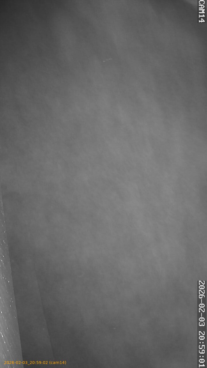 thumbnail_20260203205902