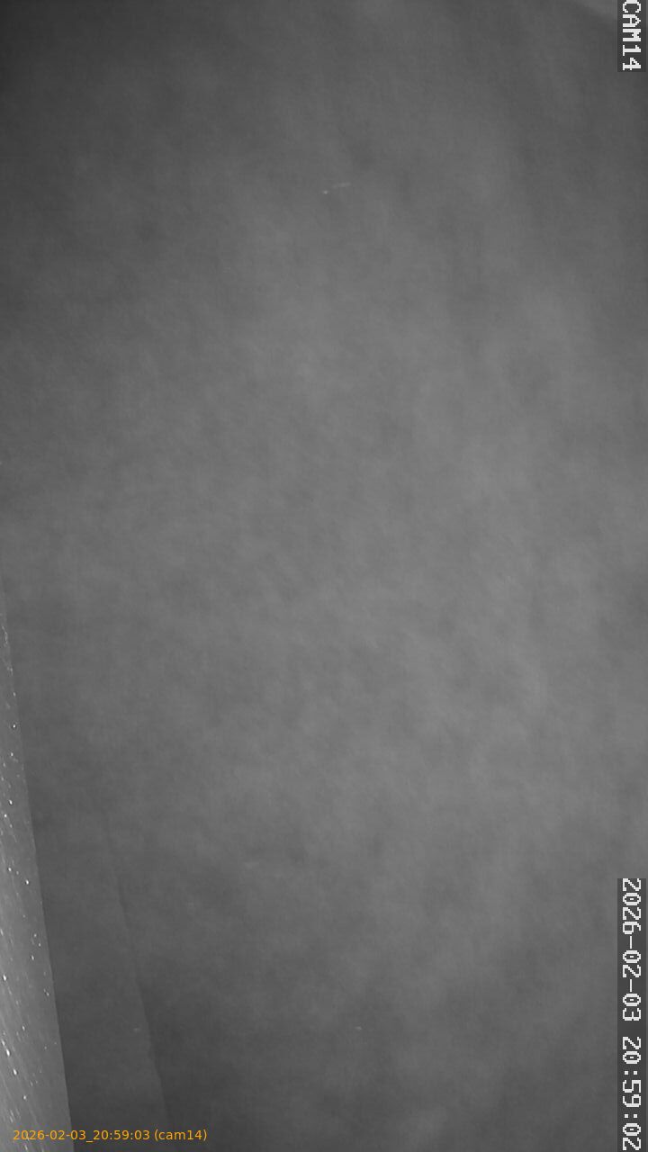 thumbnail_20260203205903