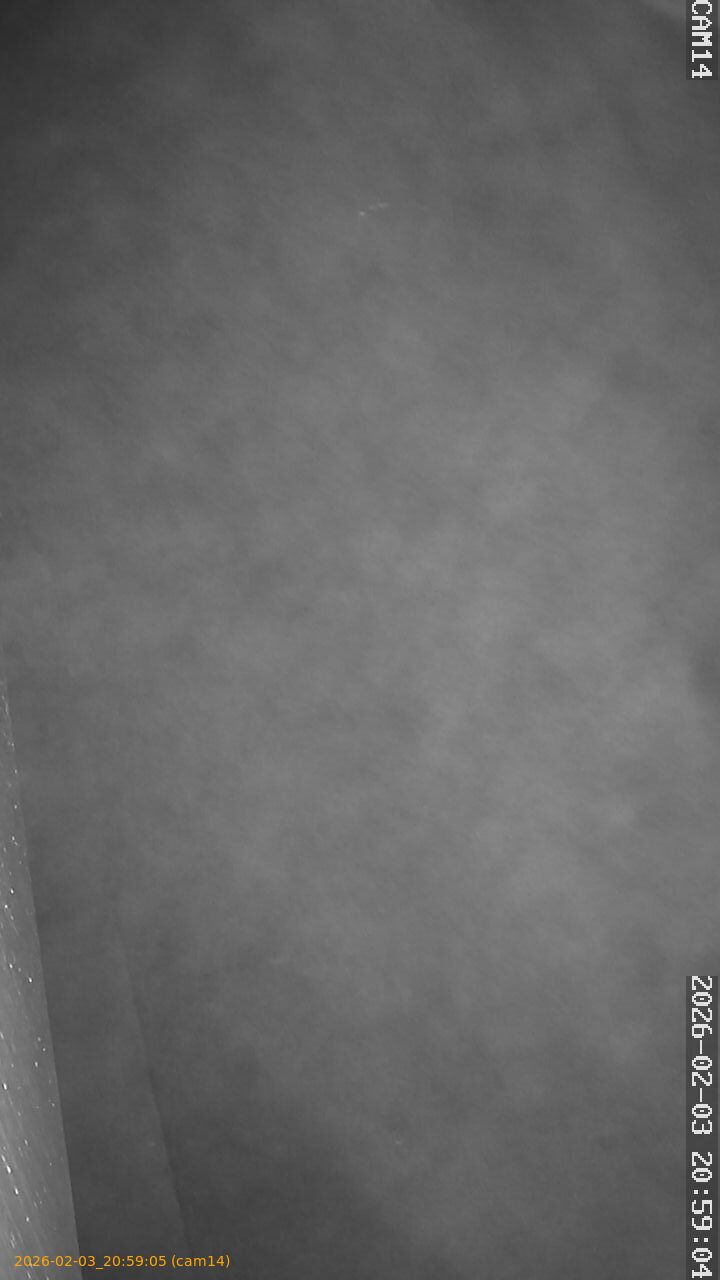 thumbnail_20260203205905