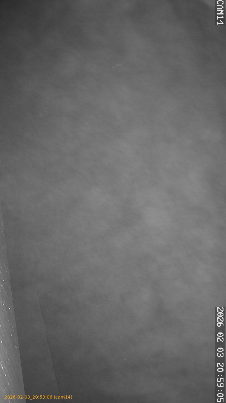 thumbnail_20260203205906