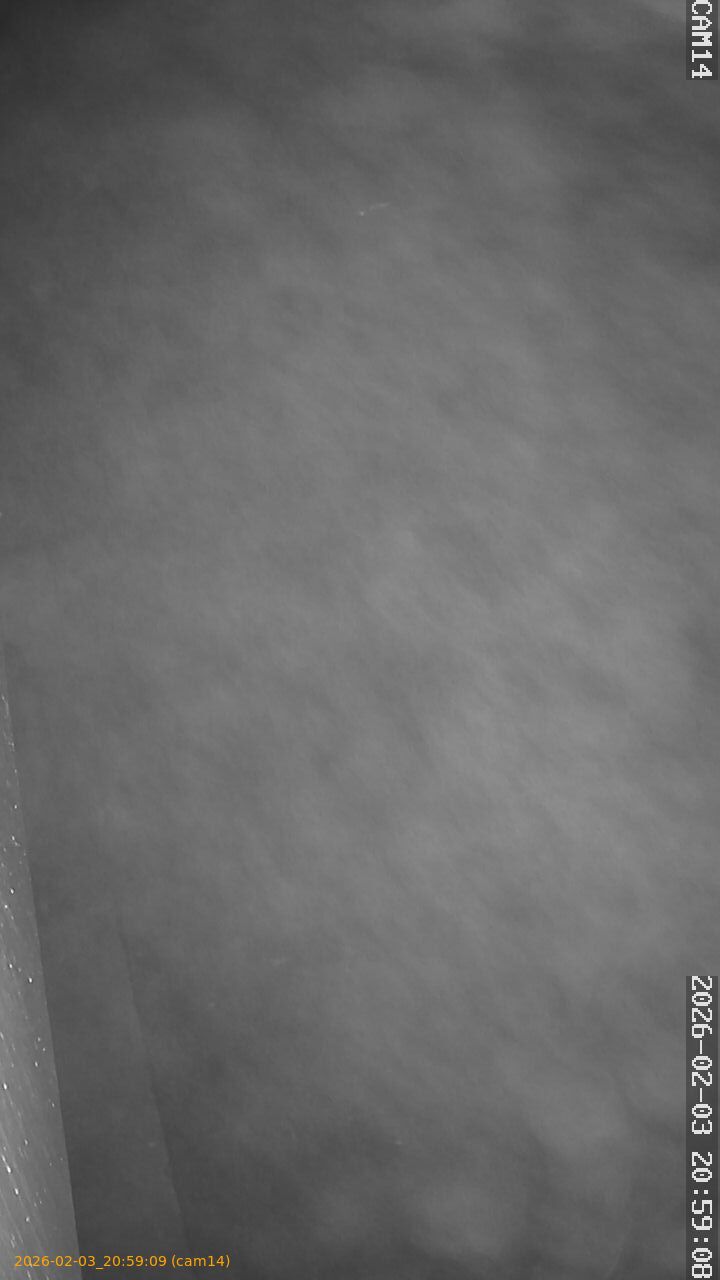 thumbnail_20260203205909