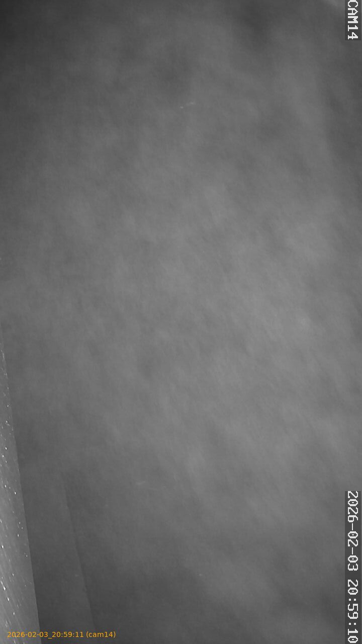 thumbnail_20260203205911