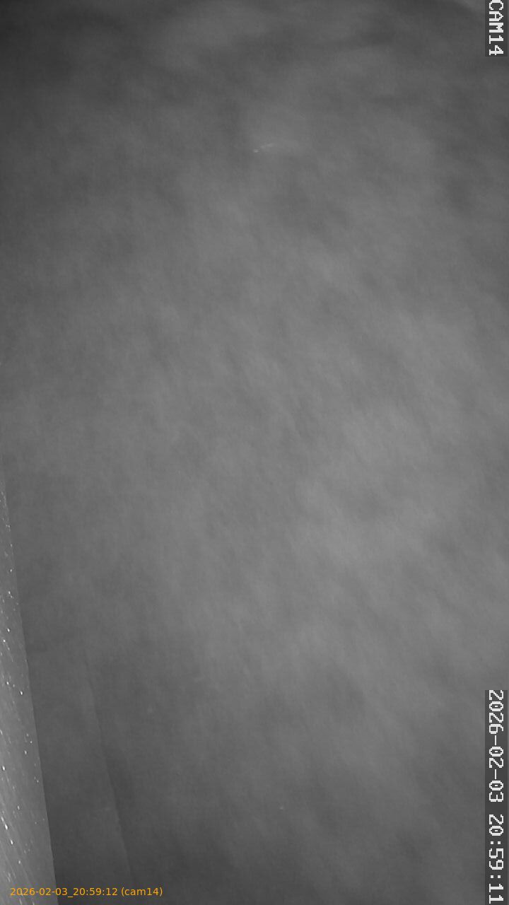 thumbnail_20260203205912