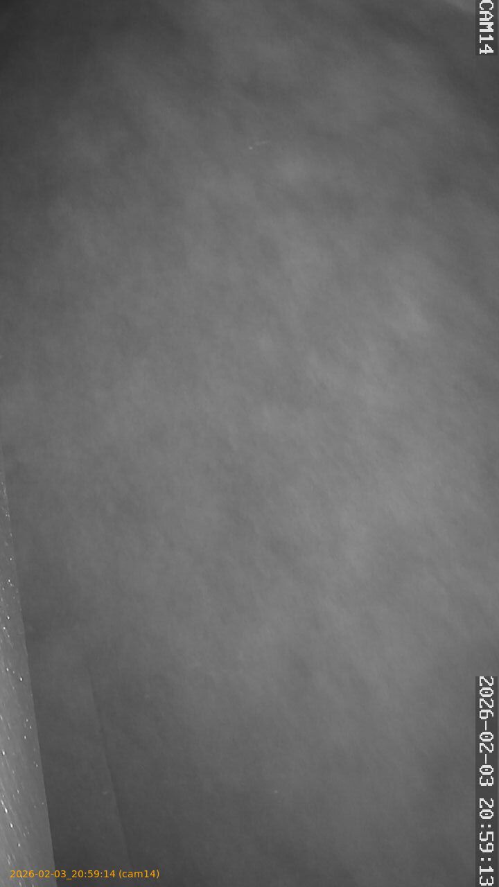 thumbnail_20260203205914